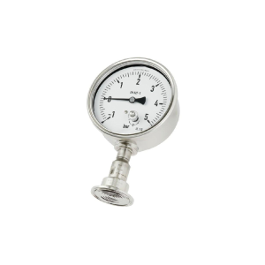 Pressure gauge DSS22P